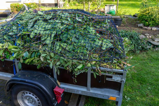 Best Moving and Downsizing Cleanouts  in Galesville, MD